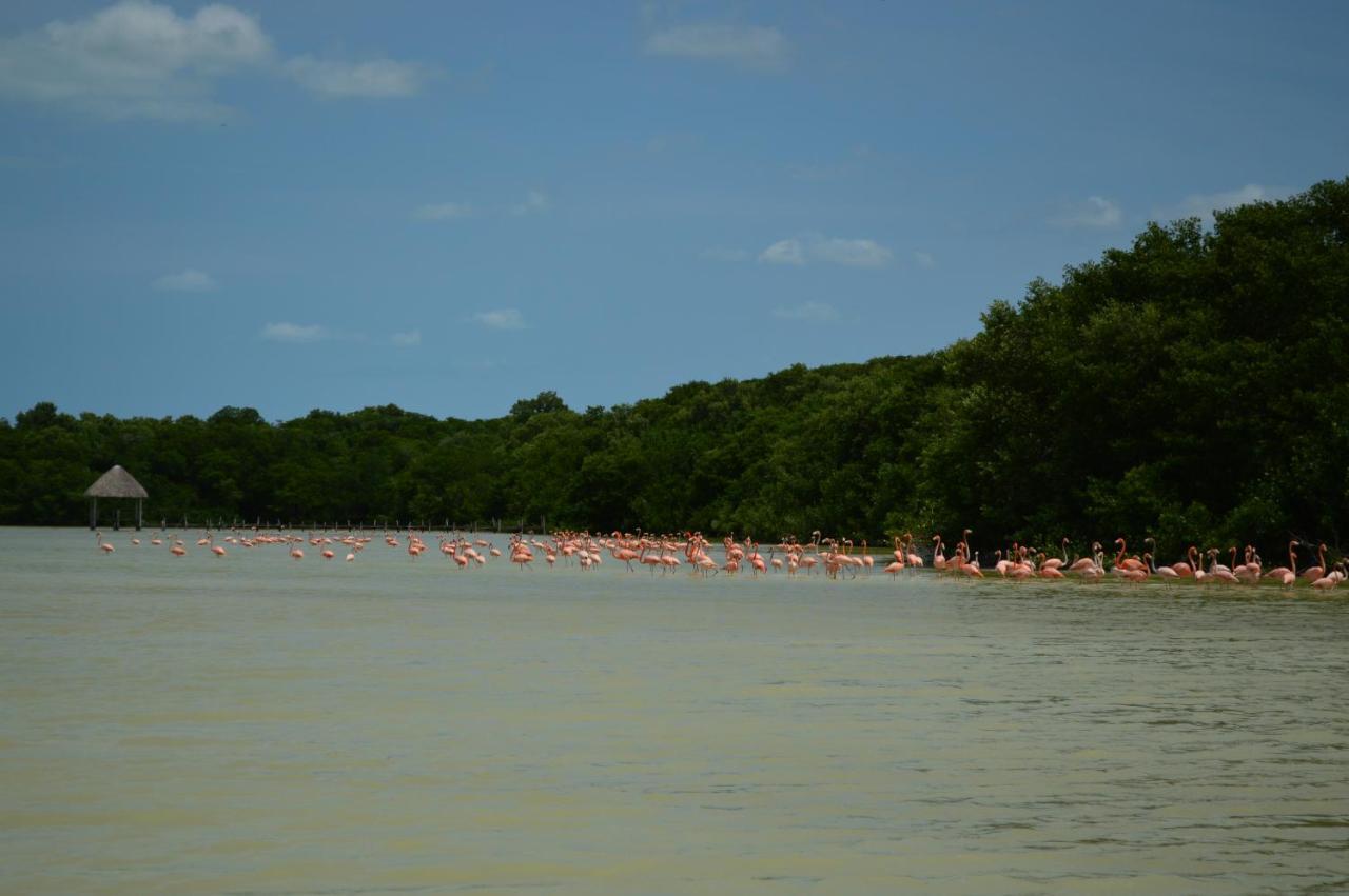 Carey Cabanas Venecia Esterno foto