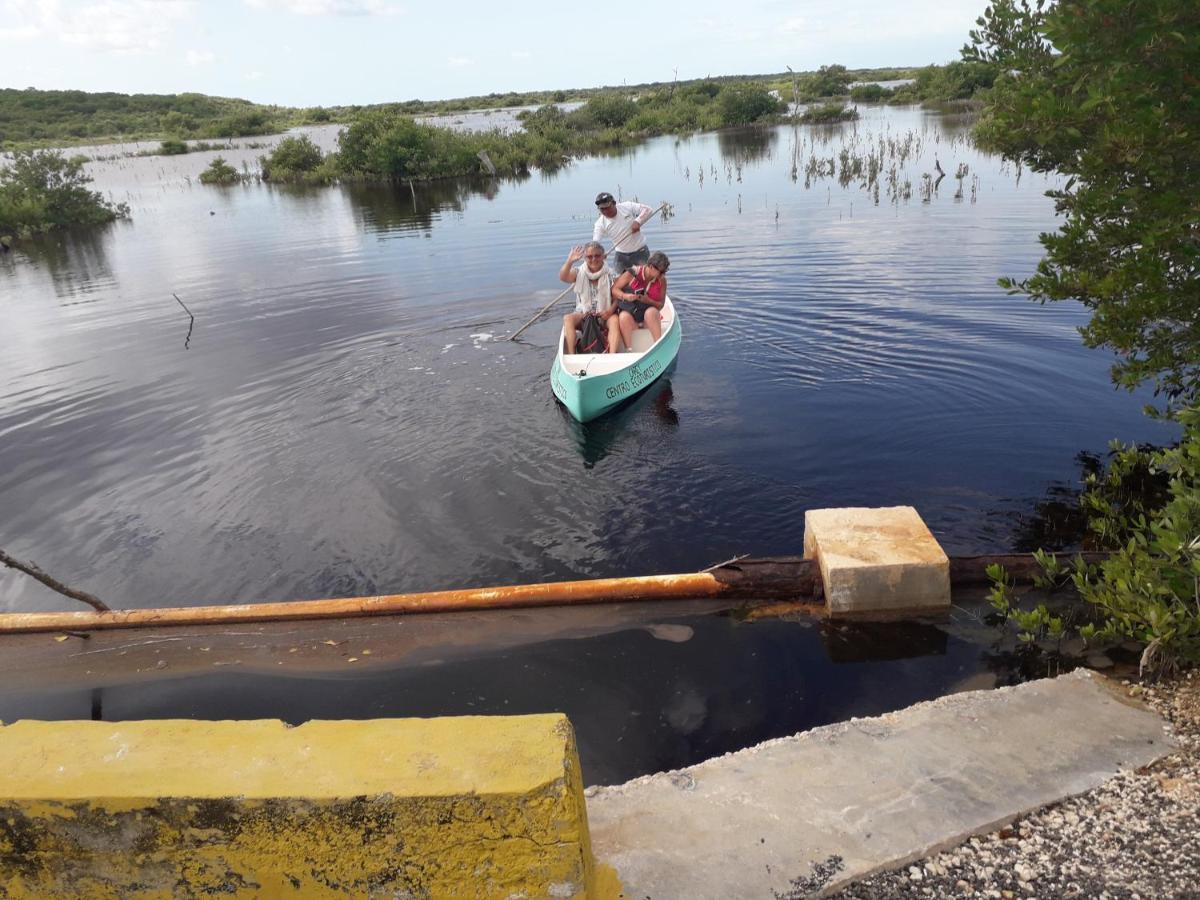 Carey Cabanas Venecia Esterno foto